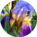 Profilfoto von Skyla Dawn Dingwerth