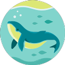 Profilfoto von Alice Volpe