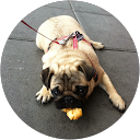 Profilfoto von Carlos Felipe