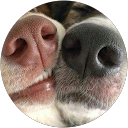 Profilfoto von Bobby Tsonchev