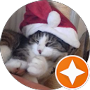 Profilfoto von Stefan