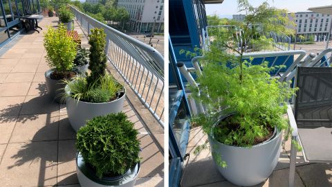 Kunststoffgefaesse - Linea Futura Greening