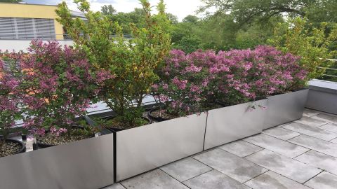 Edelstahlgefaesse - Linea Futura Greening