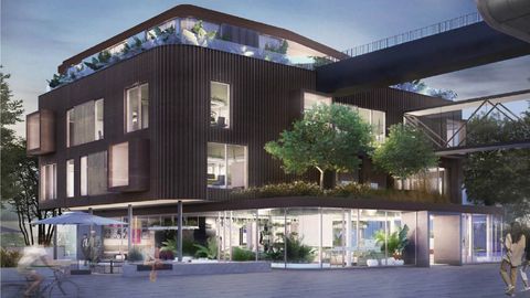 Gebaeudebegruenung - Linea Futura Greening