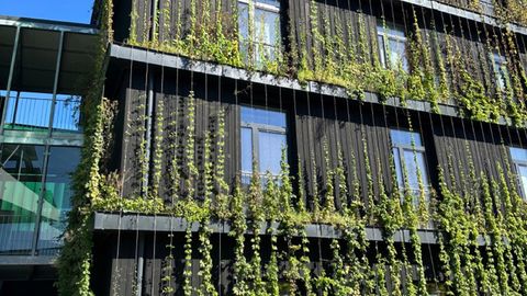 Fassadenbegruenung - Linea Futura Greening