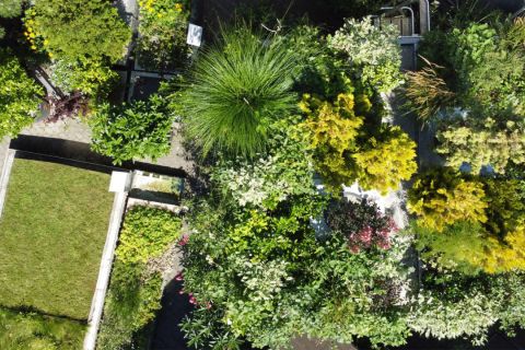 Intensive Begrünung - Linea Futura Greening