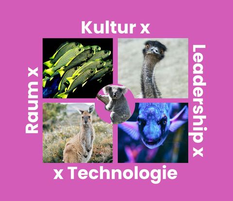 Das SOUL4WORK-Kraftfeld: Kultur, Leadership, Raum und Technologie als vier Dimensionen wirksamer Arbeitswelten