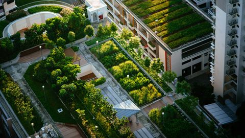 Extensive Dachbegrünung - Linea Futura Greening