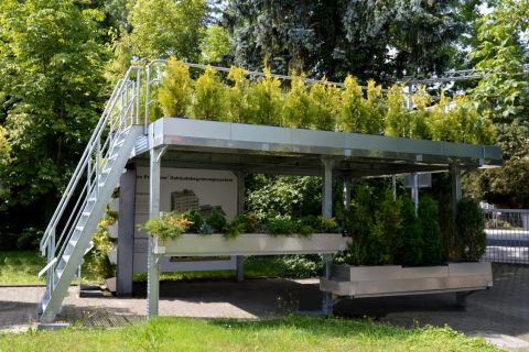 Carportbegruenung - Linea Futura Greening