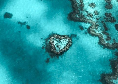 Heart Reef im Great Barrier Reef, Australien — der SOUL4WORK Impact Circle als kuratiertes Expert:innen-Netzwerk