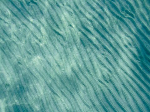 Ruhige Wasserstruktur mit Wellenrippeln — Metapher für den SOUL4WORK Impact Circle als verbindendes kuratiertes Expert:innen-Netzwerk