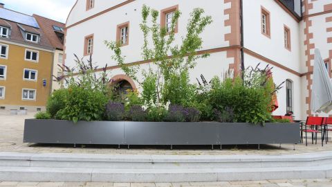 Pflanzbecken - Linea Futura Greening