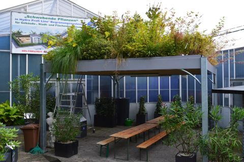 Pavillionbegruenung - Linea Futura Greening