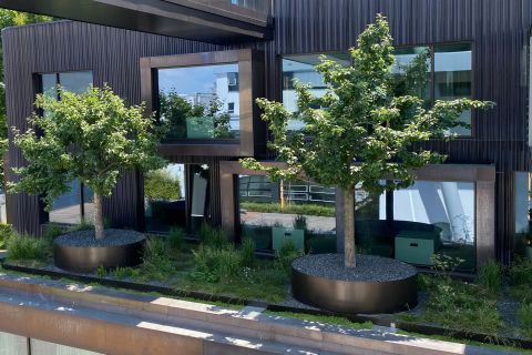 Dachbegrünung - Linea Futura Greening