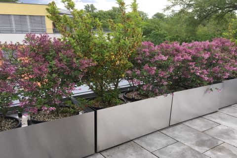 Edelstahlgefaesse - Linea Futura Greening