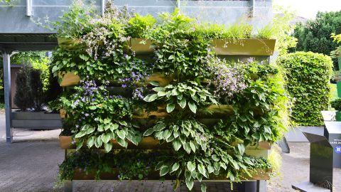 Carport Wandgebundene Fassadenbegrünung - Linea Futura Greening