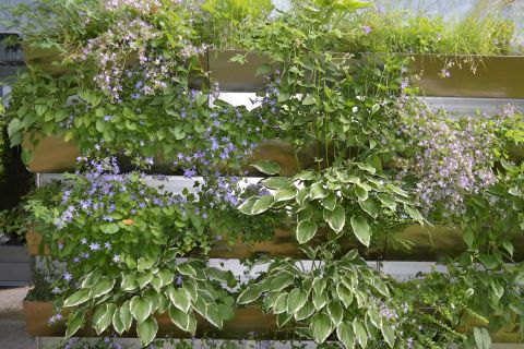 Wandbegruenung - Linea Futura Greening