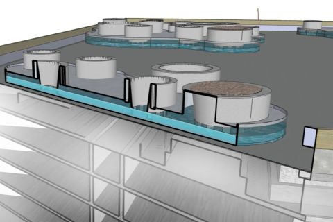 Pflanzbecken-fuer-intensive-Begruenungen - Linea Futura Greening